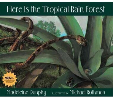 Here Is the Tropical Rain Forest