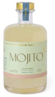 Here's how mixer - mojito