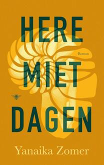 Heremietdagen -  Yanaika Zomer (ISBN: 9789403136424)