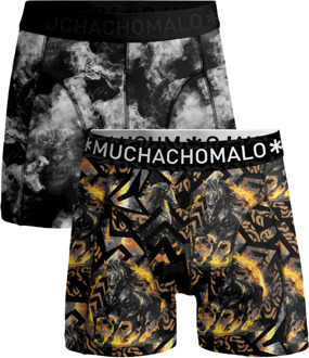 Heren 2-pack Boxershorts Fire Elements