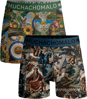 Heren 2-pack Boxershorts Premodern