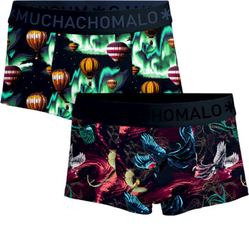 Heren 2-pack Trunks Air Elements