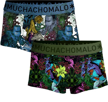 Heren 2-pack Trunks Earth Elements