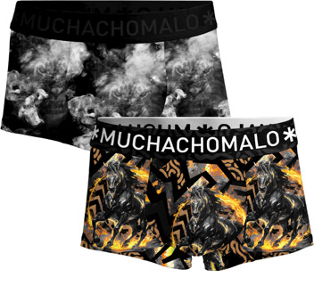 Heren 2-pack Trunks Fire Elements