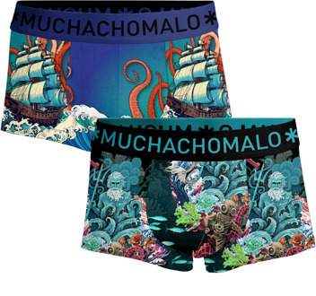 Heren 2-pack Trunks Water Elements