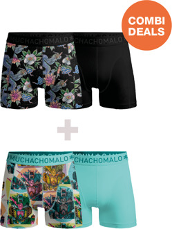 Heren 2+2-pack Boxershorts