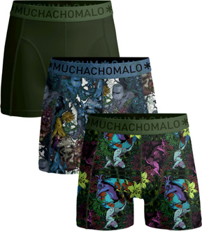 Heren 3-pack Boxershorts Earth Elements