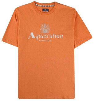 Heren Actieve Grote Logo T-Shirt (Oranje)