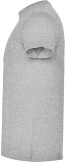 Heren atomic heather t-shirt Grijs - M