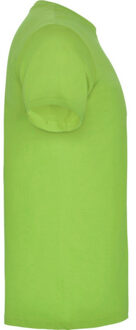 Heren beagle t-shirt met korte mouwen Groen - L