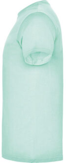 Heren beagle t-shirt met korte mouwen Groen - XXXL