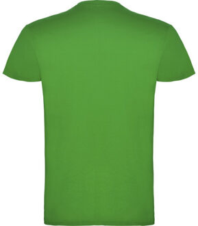 Heren beagle t-shirt met korte mouwen Groen