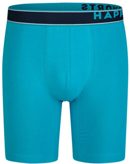 Heren boxershorts met lange pijpen boxer briefs 4-pack palms blauw - maat M