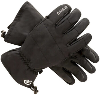 Heren diversity ii skihandschoenen Zwart