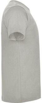 Heren dogo premium t-shirt Grijs - XXXL