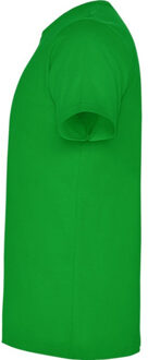 Heren dogo premium t-shirt Groen - S