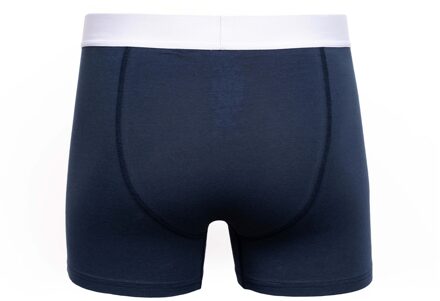 Heren Galton Boxer Shorts (Set van 2) (Groen/blauw)