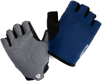 Heren lear handschoenen Blauw - M