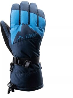 Heren maiko skihandschoenen Blauw - L / XL