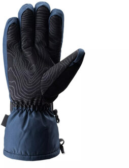 Heren maiko skihandschoenen Blauw - S / M