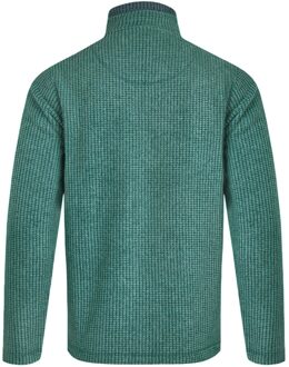 Heren Newark Grid Eco Friendly Quarter Zip Fleece Top (Bladgroen)