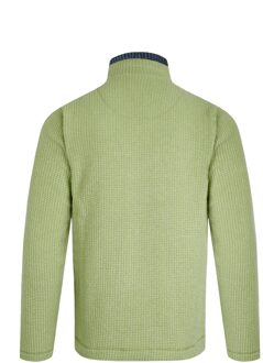 Heren Newark Grid Eco Friendly Quarter Zip Fleece Top (Dragon) Licht Groen
