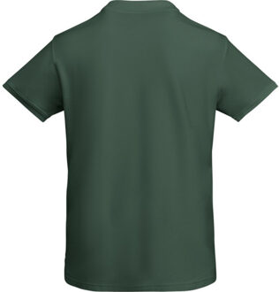 Heren prince poloshirt met korte mouwen Groen - L