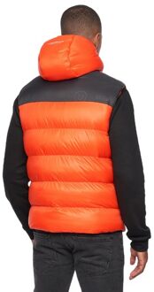 Heren Raymax Gilet (Oranje/zwart)