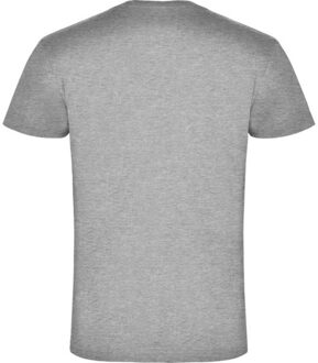 Heren samoyedo v hals t-shirt Grijs - L