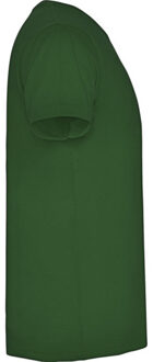 Heren samoyedo v hals t-shirt - maat XL Groen