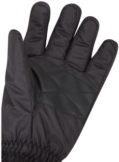 Heren Skihandschoenen (Zwart)