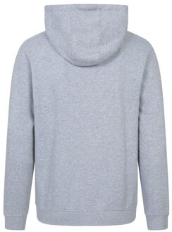 Heren Spirit Of Adventure Volledige Zip Hoodie (Grijs) - M