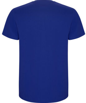Heren stafford t-shirt Blauw - L