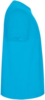 Heren stafford t-shirt Blauw