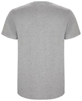 Heren stafford t-shirt Grijs - XL