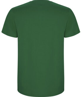 Heren stafford t-shirt Groen - XL