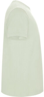 Heren stafford t-shirt Groen - XL