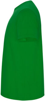 Heren stafford t-shirt Groen - XL