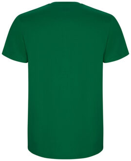 Heren stafford t-shirt Groen - XXL / XXXL