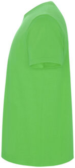 Heren stafford t-shirt Groen - XXL / XXXL