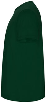 Heren stafford t-shirt Groen - XXXL