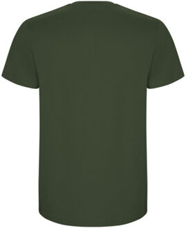 Heren stafford t-shirt Groen - XXXL