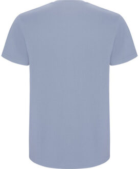 Heren stafford t-shirt - maat XL Blauw