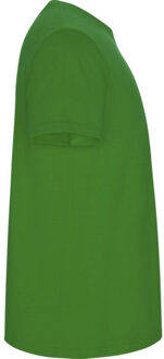 Heren stafford t-shirt - maat XXXL Groen