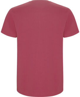 Heren stafford t-shirt Rood - XL