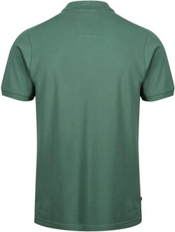 Heren The Robbie Essentials Poloshirt (Groen)