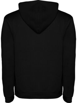Heren urban hoodie Zwart - XXL / XXXL