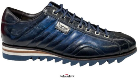 Herenschoenen sneakers Blauw - 44,5