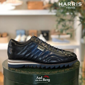 Herenschoenen sneakers - maat 42,5 Blauw