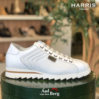 Herenschoenen sneakers Wit - 43